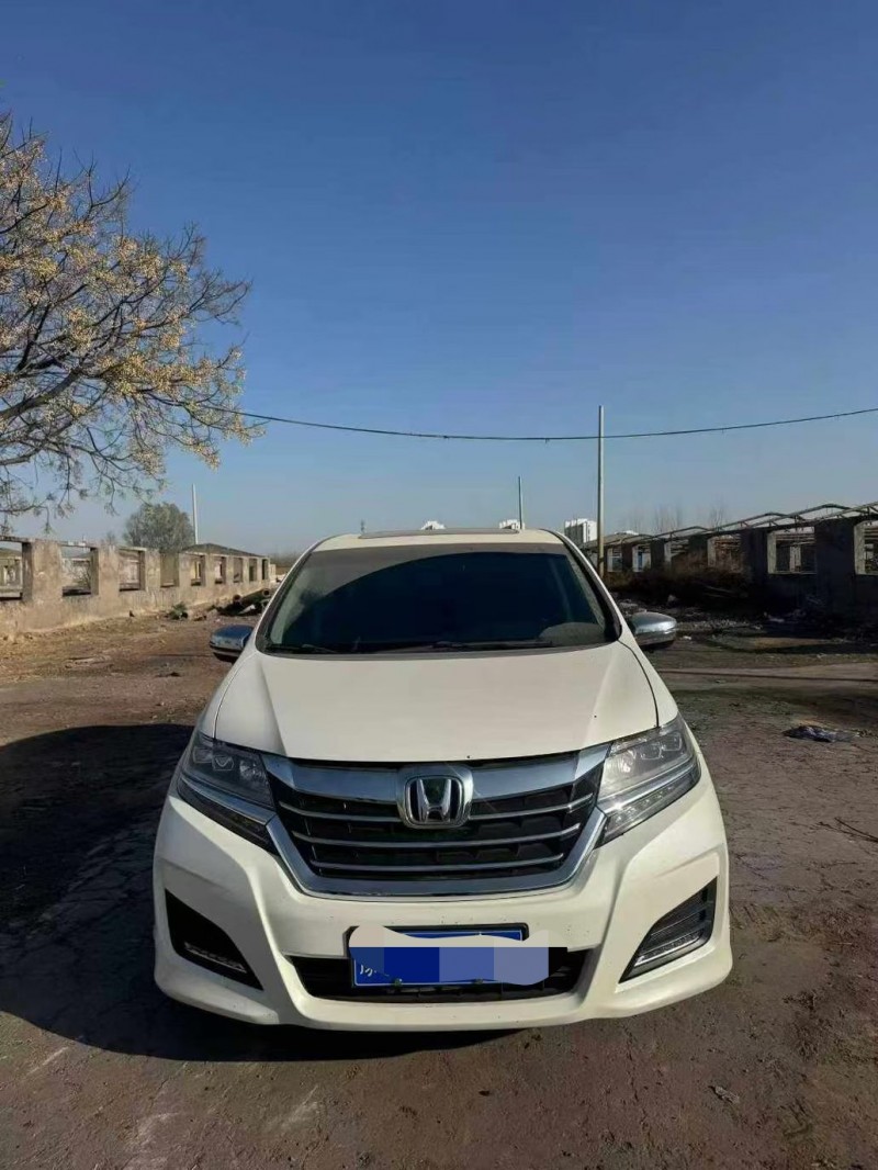 鹤壁18年本田艾力绅1