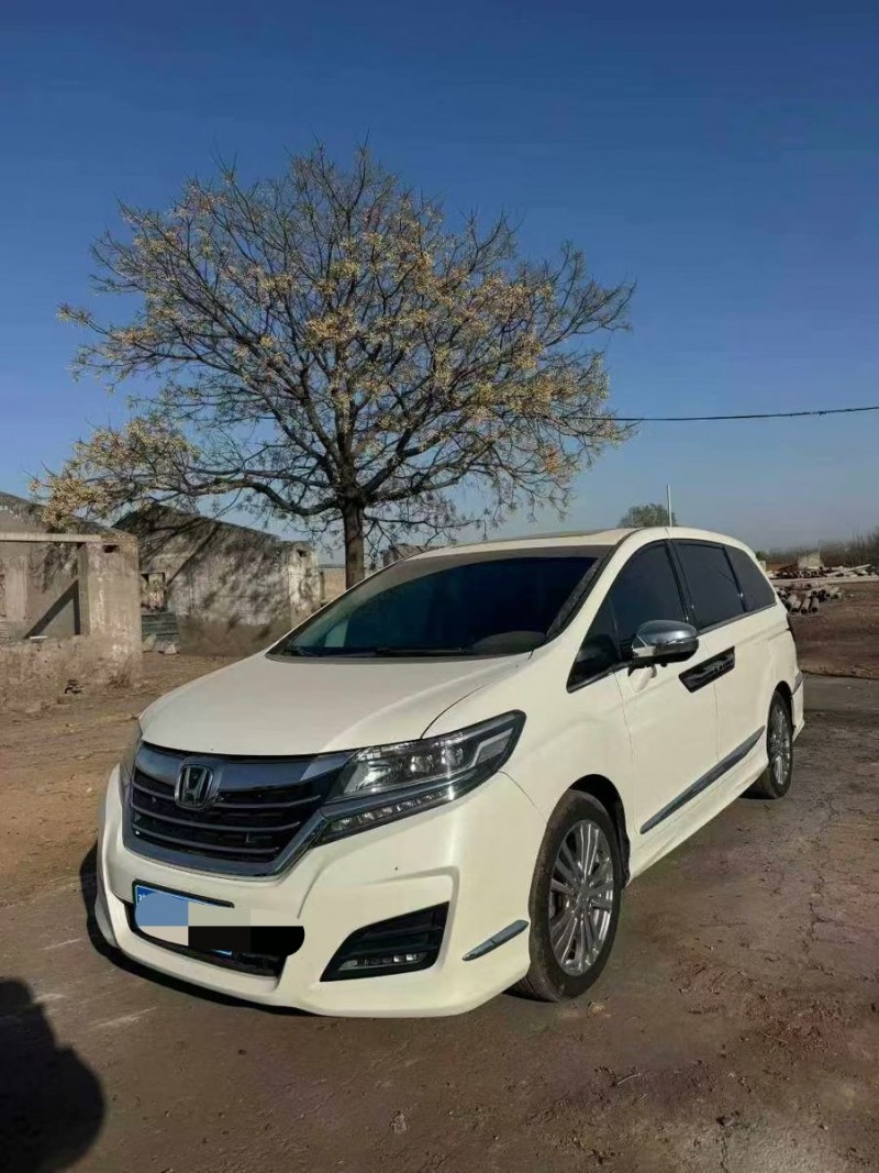 鹤壁18年本田艾力绅3