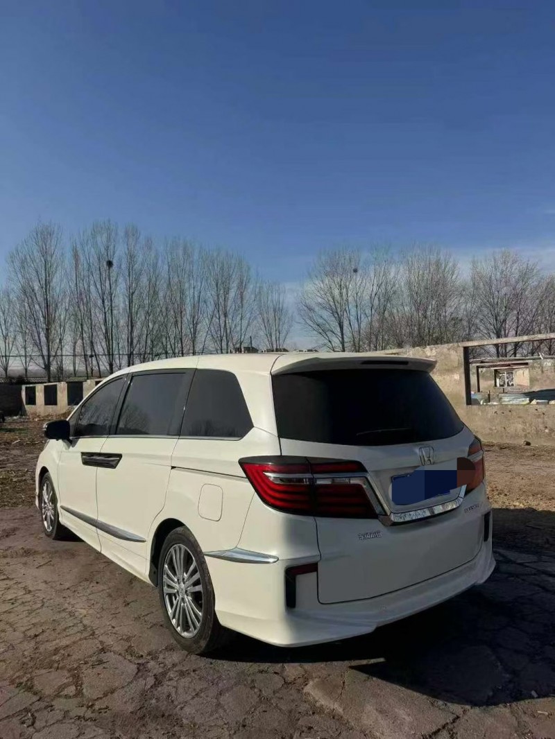 鹤壁18年本田艾力绅4