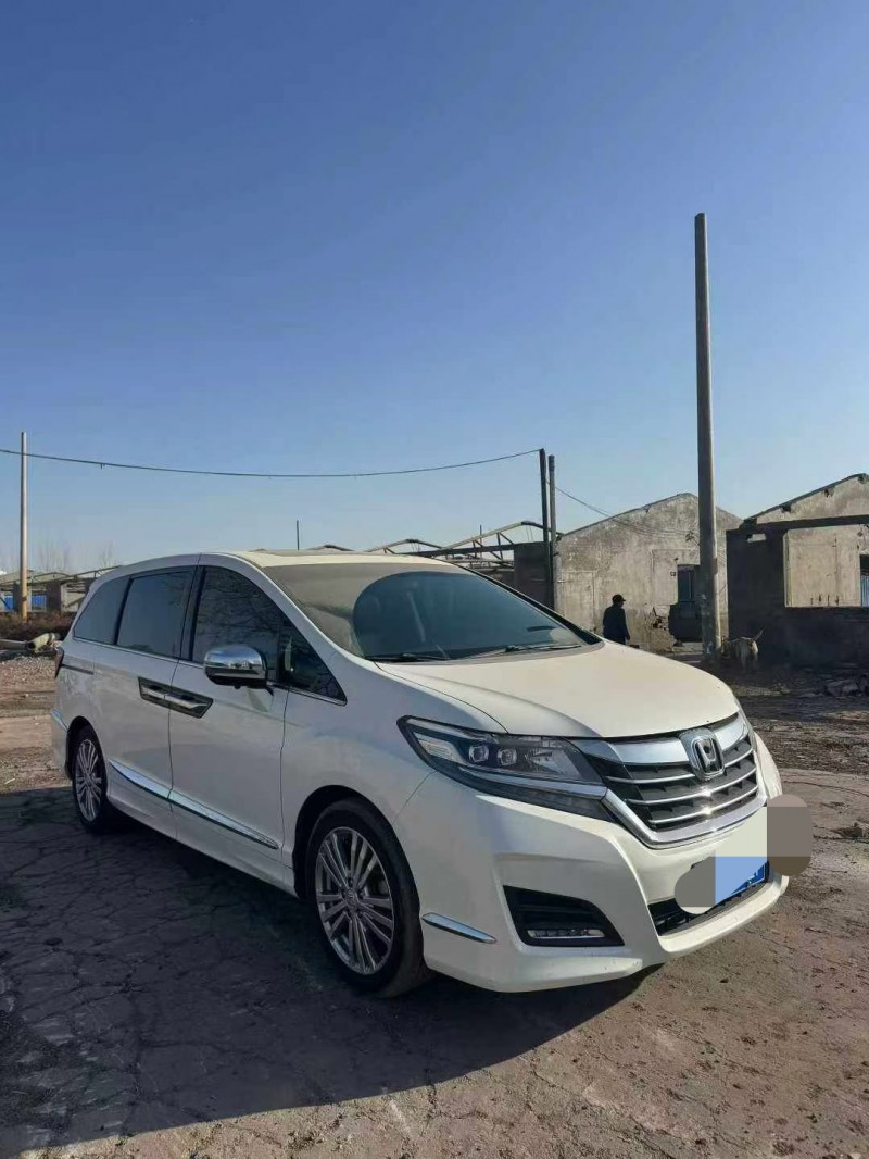 鹤壁18年本田艾力绅5