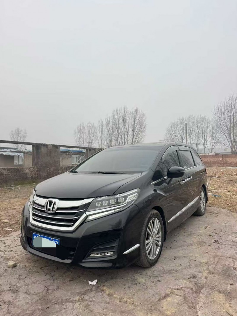 鹤壁16年本田艾力绅4