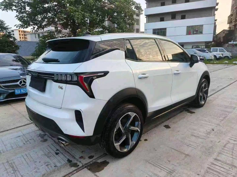 广州24年领克066