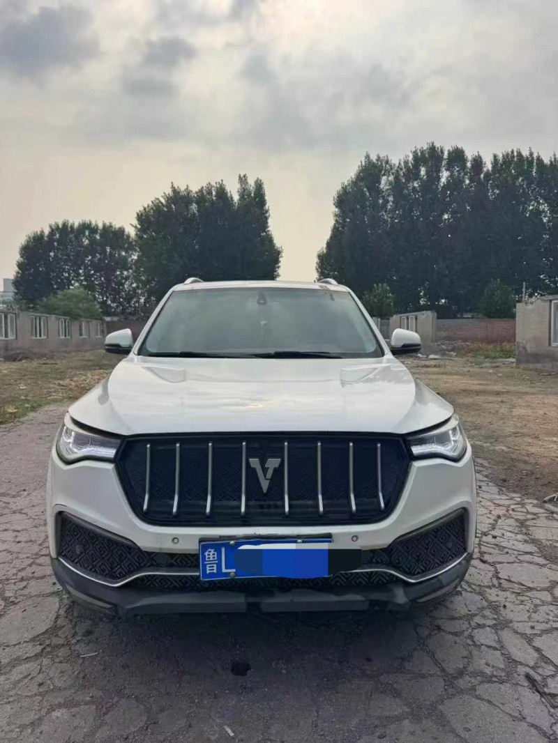 鹤壁18年众泰T8001