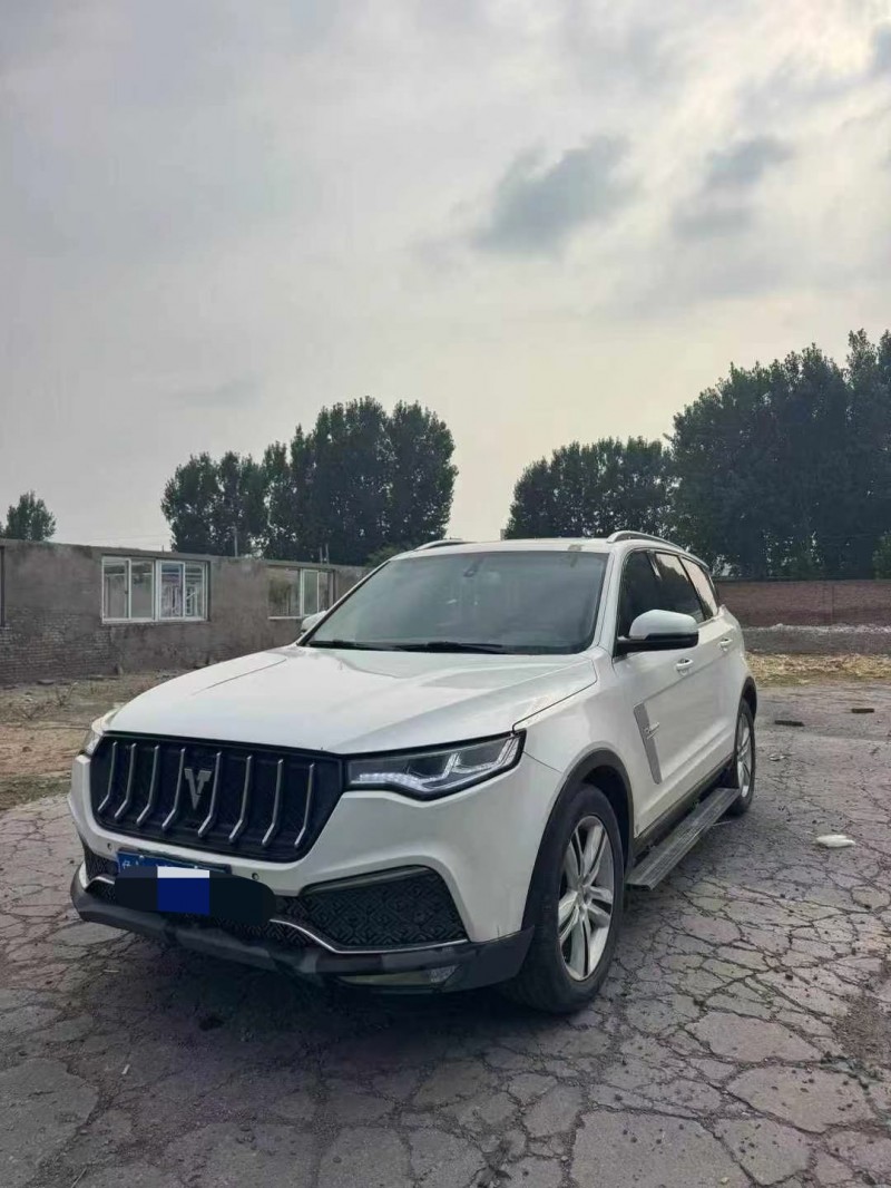 鹤壁18年众泰T8002