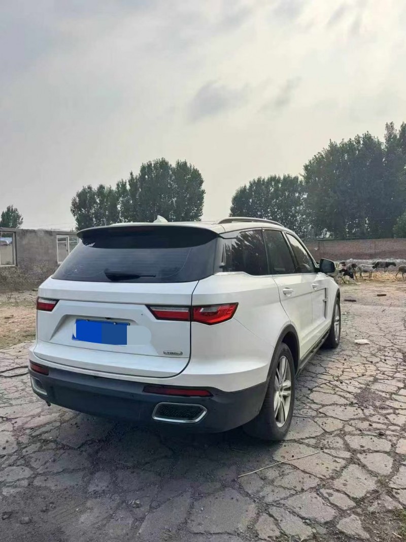 鹤壁18年众泰T8003