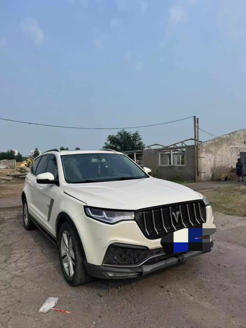 鹤壁18年众泰T8004