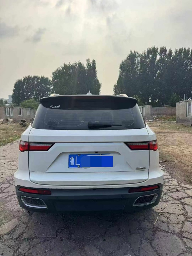 鹤壁18年众泰T8007