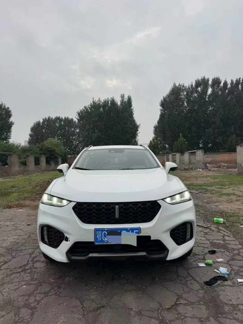 鹤壁18年长城汽车魏牌1