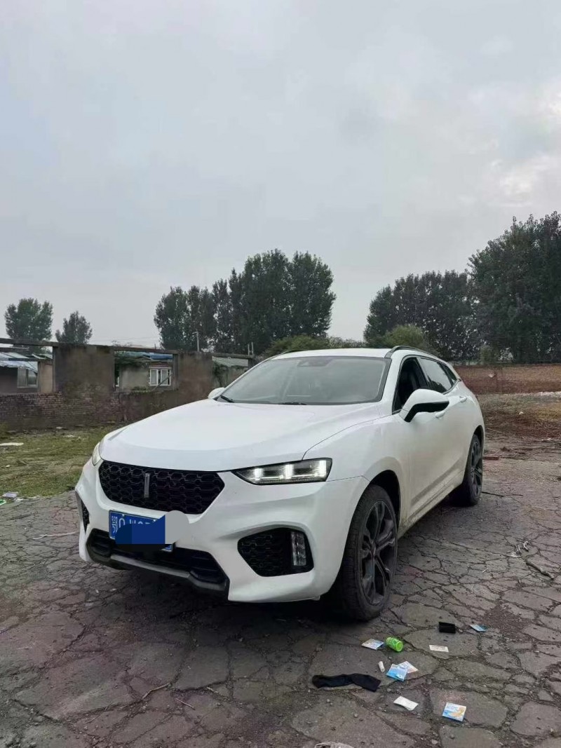 鹤壁18年长城汽车魏牌2