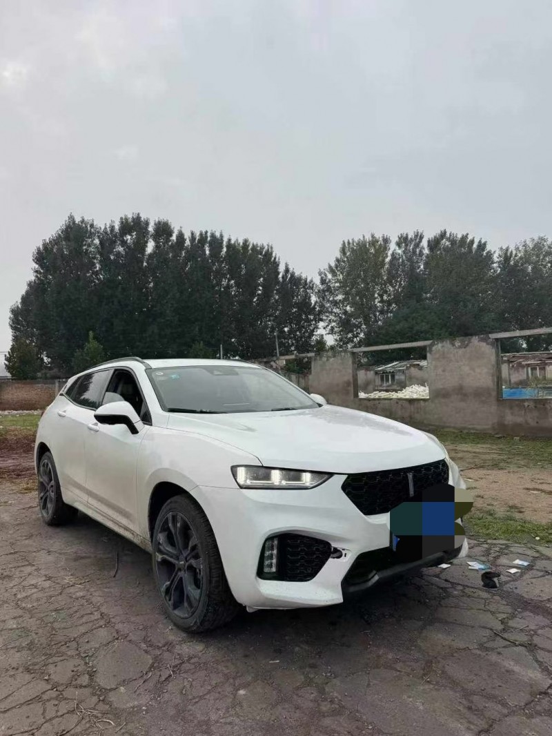 鹤壁18年长城汽车魏牌6