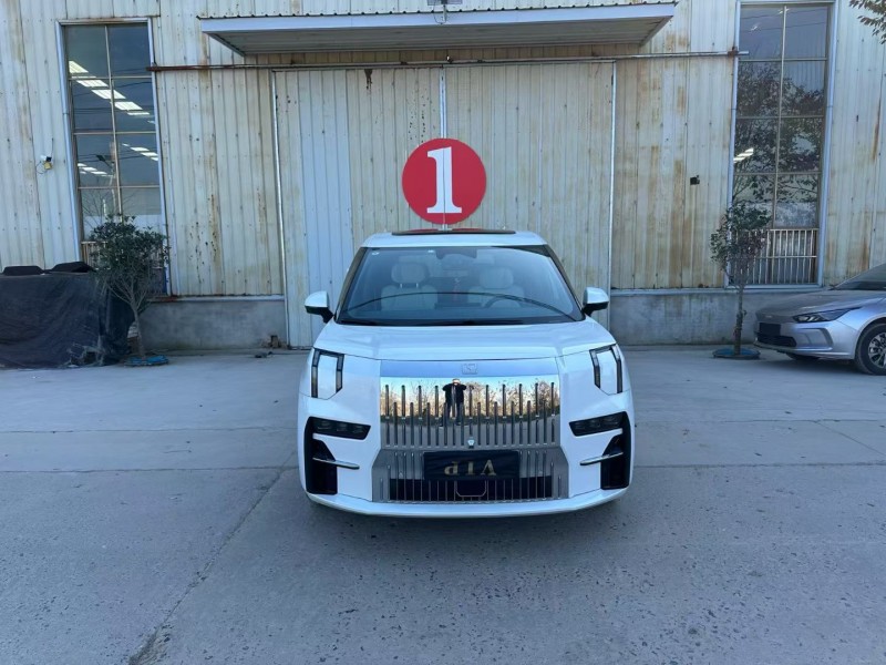 徐州23年极氪汽车0091