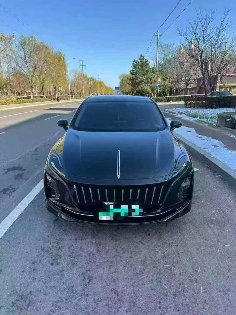 潍坊24年红旗E-QM51