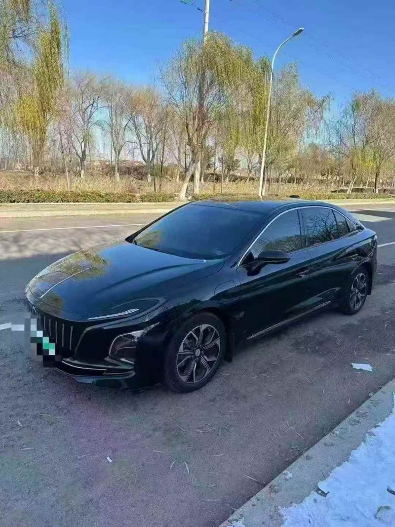 潍坊24年红旗E-QM52