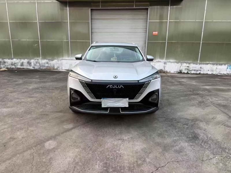 徐州24年东风风神1