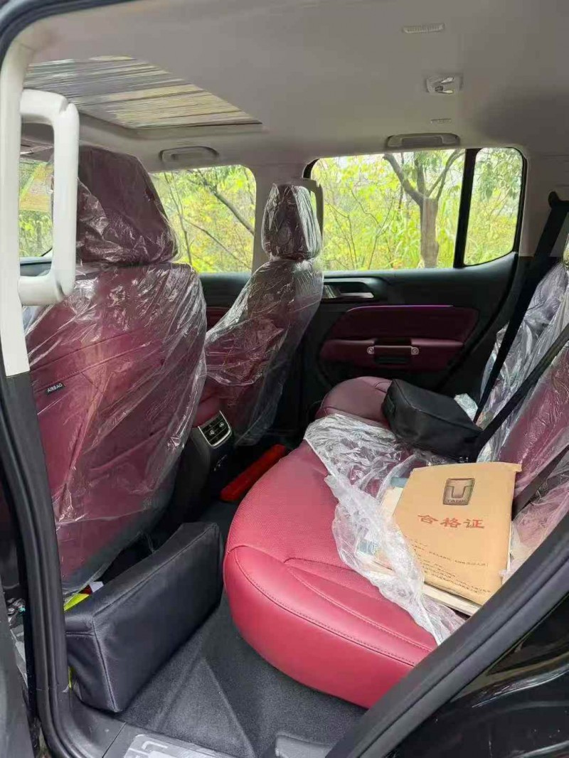 新余25年长城汽车坦克5