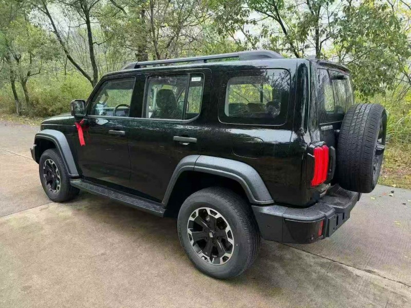 新余25年长城汽车坦克7