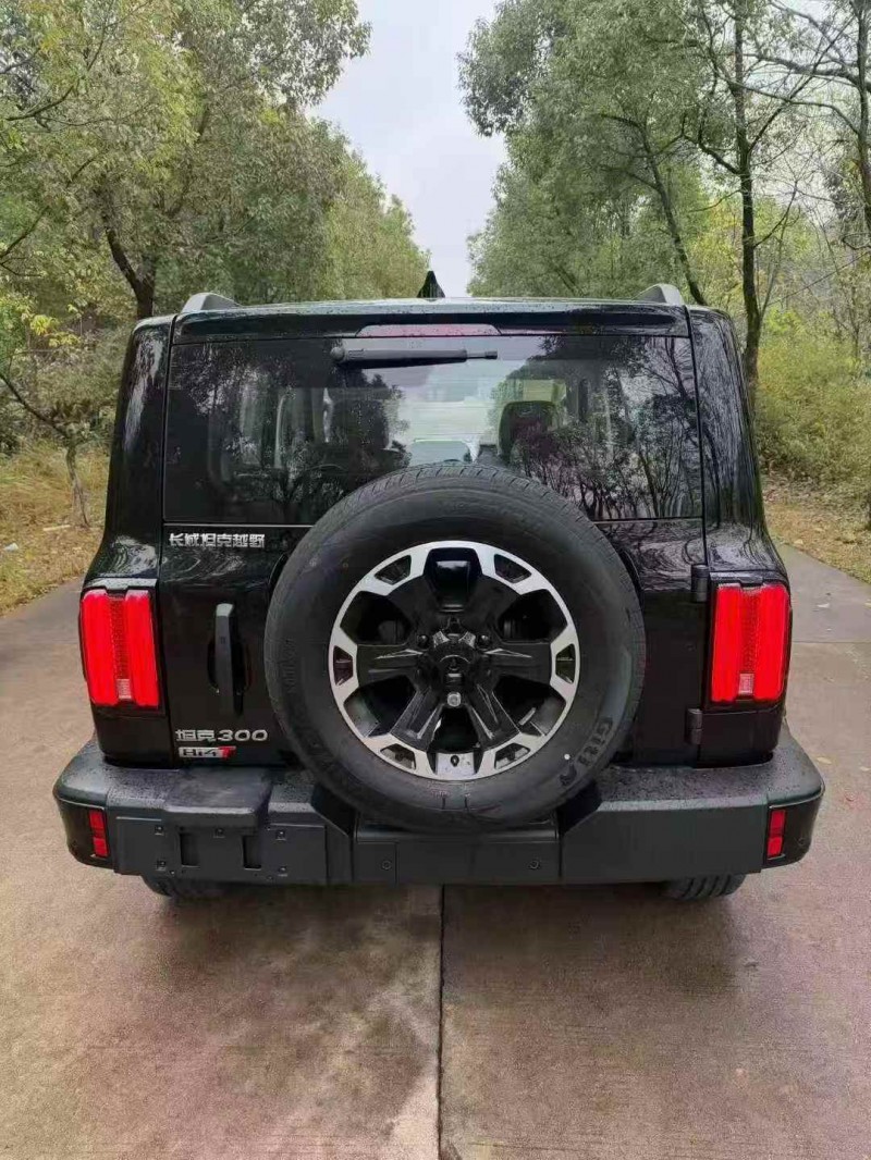 新余25年长城汽车坦克9