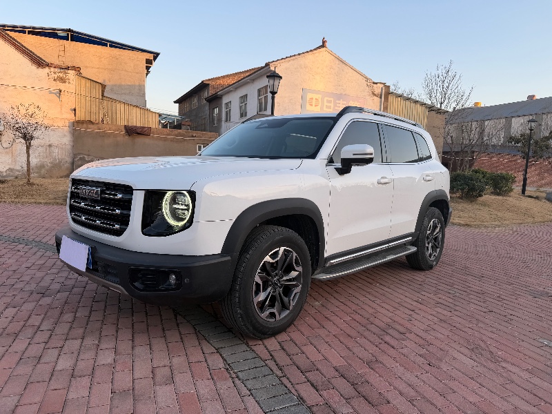 洛阳21年哈弗大狗2