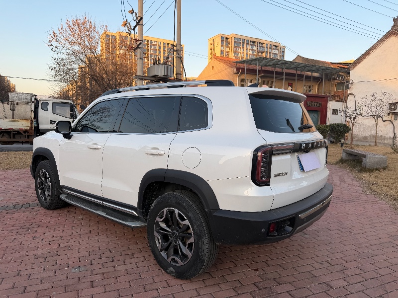 洛阳21年哈弗大狗9