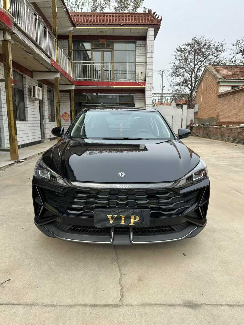 廊坊25年东风奕炫1