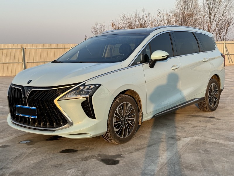 新乡23年东风风行2