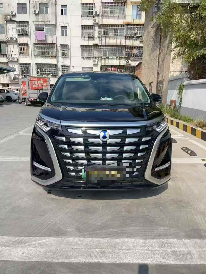 萍乡24年腾势D91