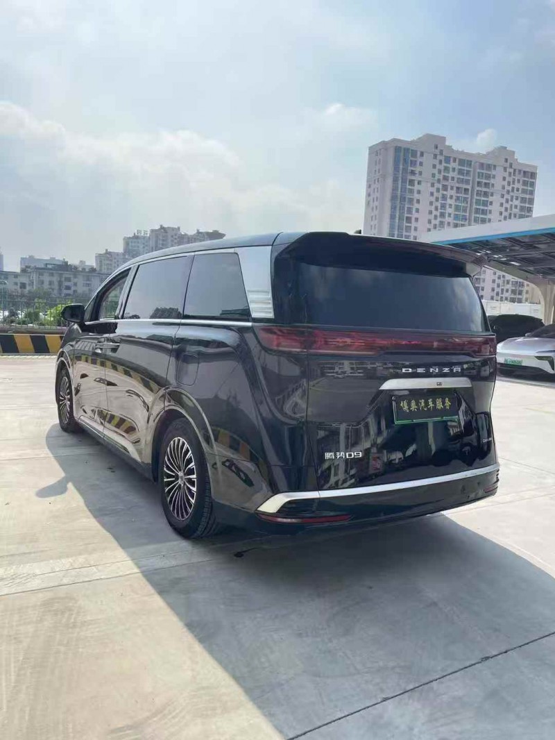 萍乡24年腾势D98