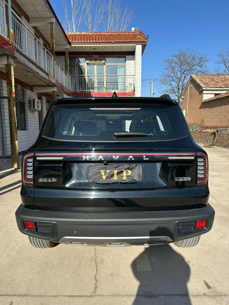 廊坊24年哈弗大狗9