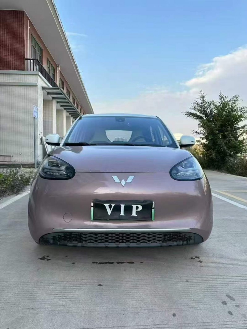 广州23年五菱汽车缤果1