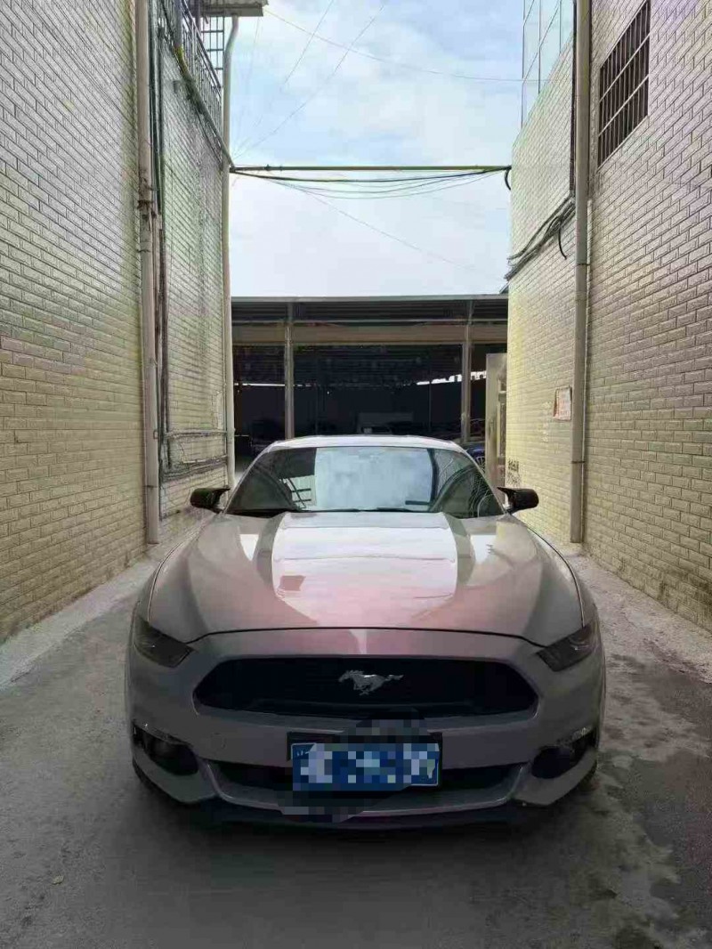 张家界17年福特野马1