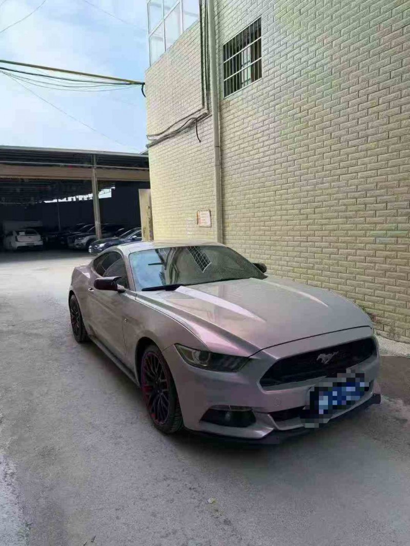 张家界17年福特野马2