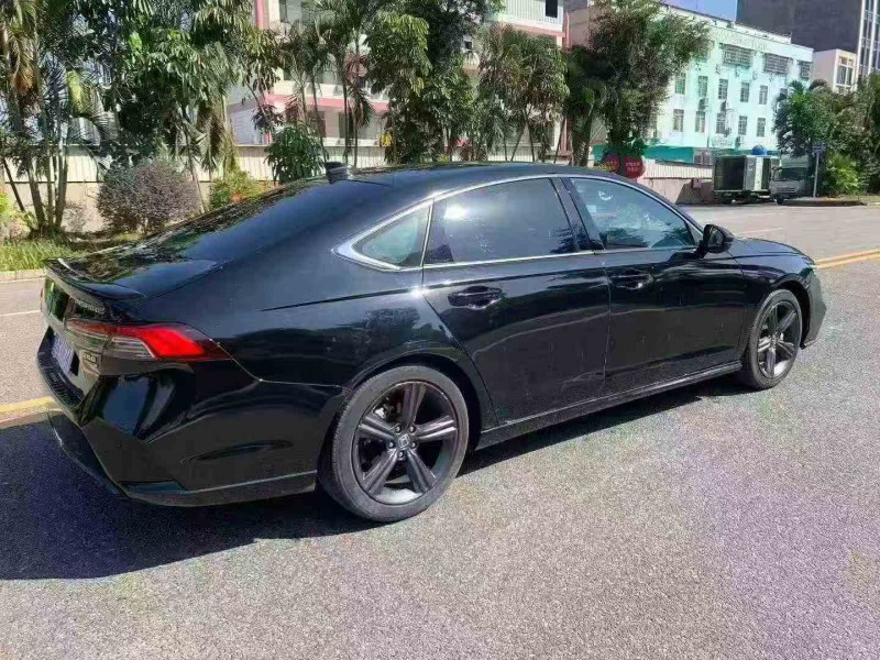 湛江24年本田英诗派7