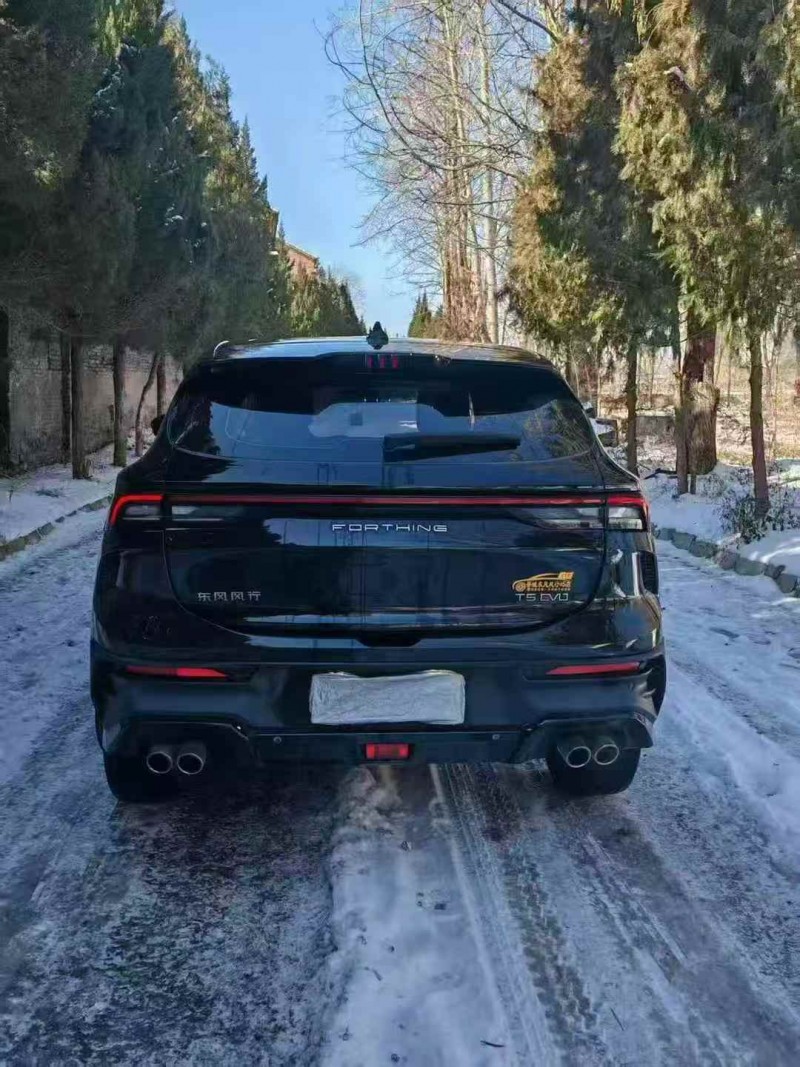 晋城24年东风风行8