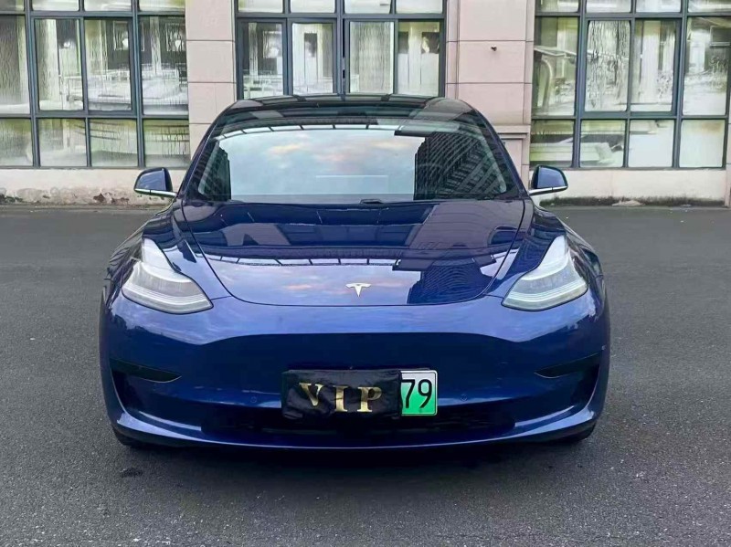 莆田20年特斯拉MODEL 31