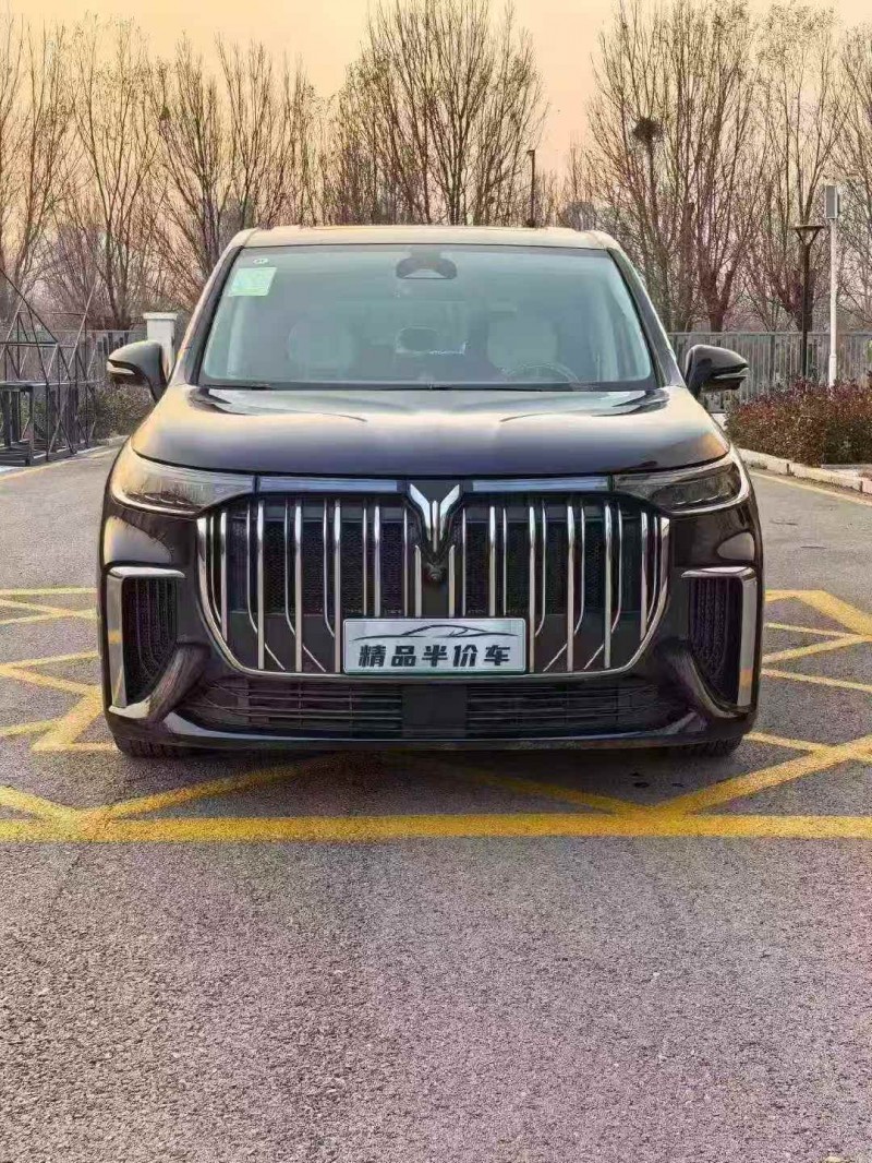 张家口25年岚图汽车梦想家1