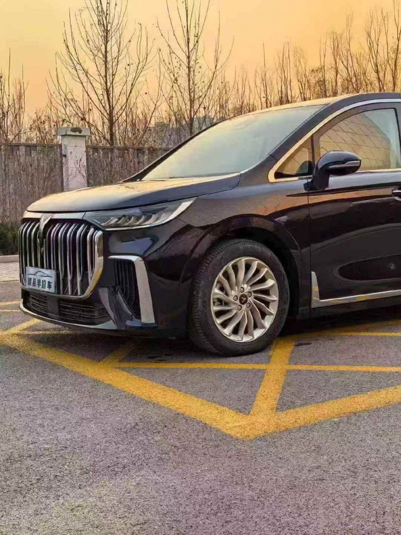 张家口25年岚图汽车梦想家2