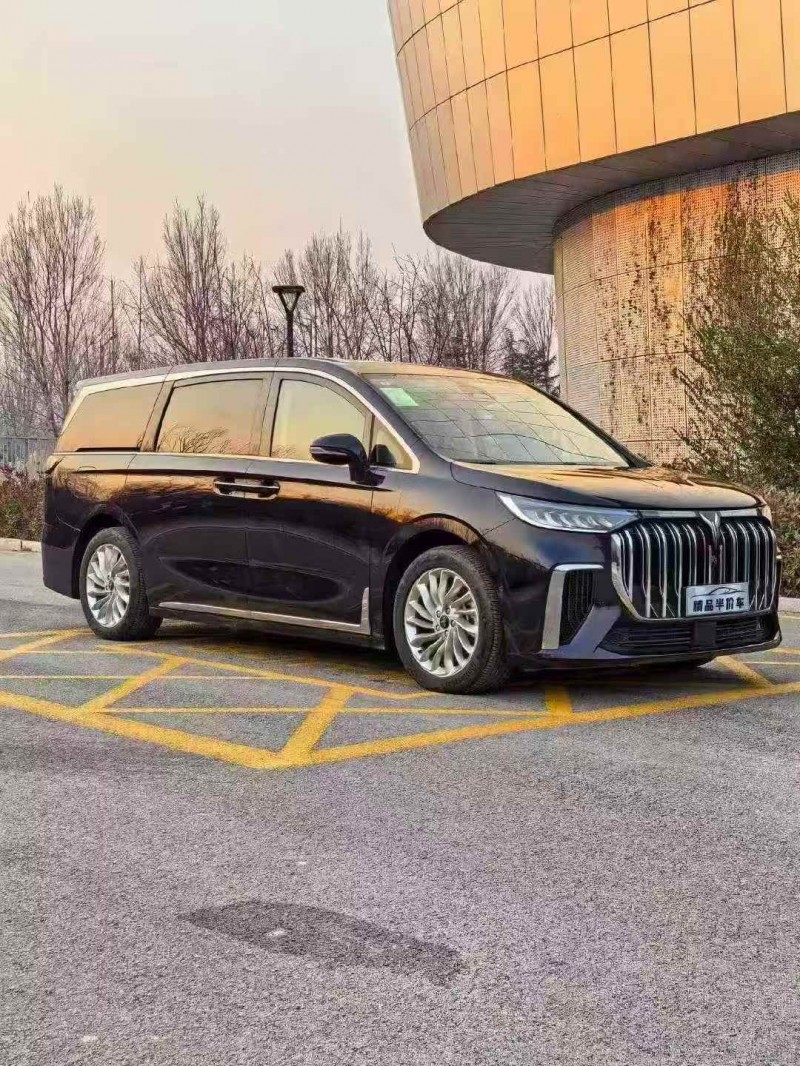 张家口25年岚图汽车梦想家3