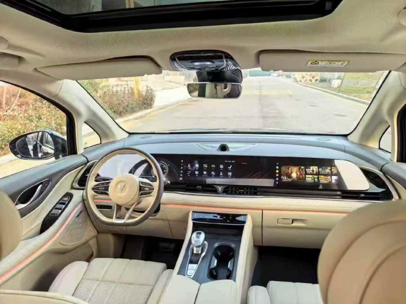 张家口25年岚图汽车梦想家4