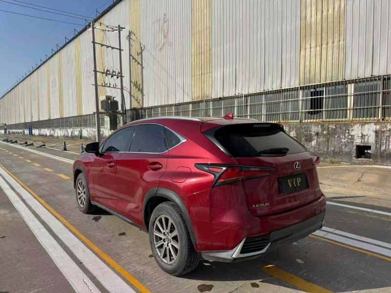 菏泽18年雷克萨斯NX6