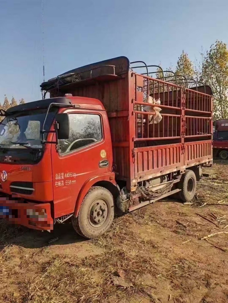 菏泽19年东风福瑞卡3