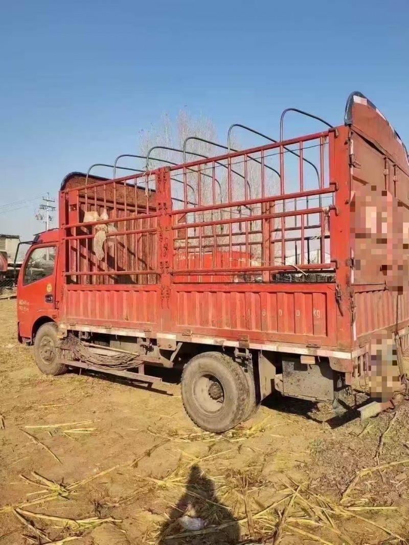 菏泽19年东风福瑞卡7