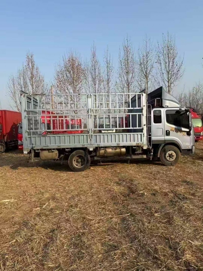 菏泽25年解放解放卡车4