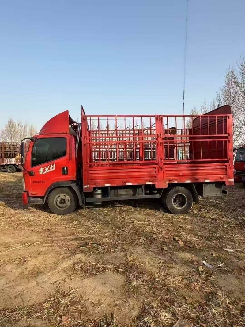 菏泽25年解放解放卡车4