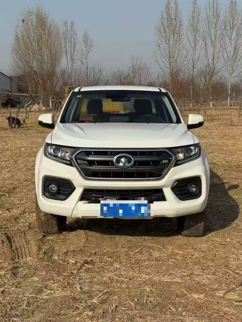 菏泽21年长城汽车风骏1