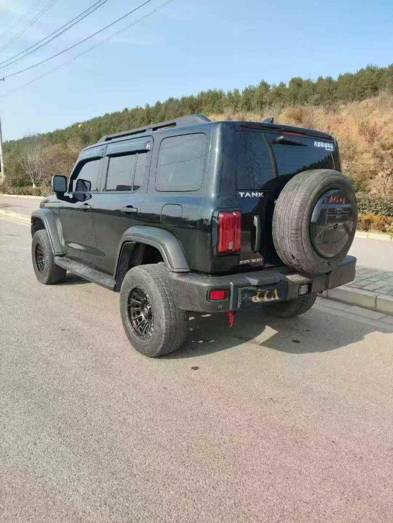 淄博23年长城汽车坦克4