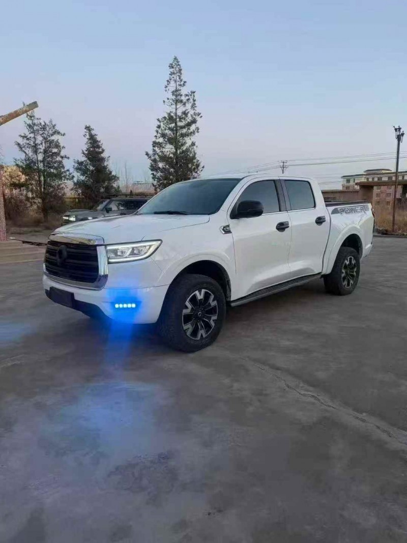 银川20年长城汽车炮 皮卡2