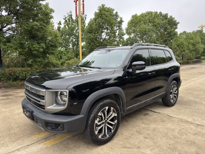 盐城24年哈弗大狗2