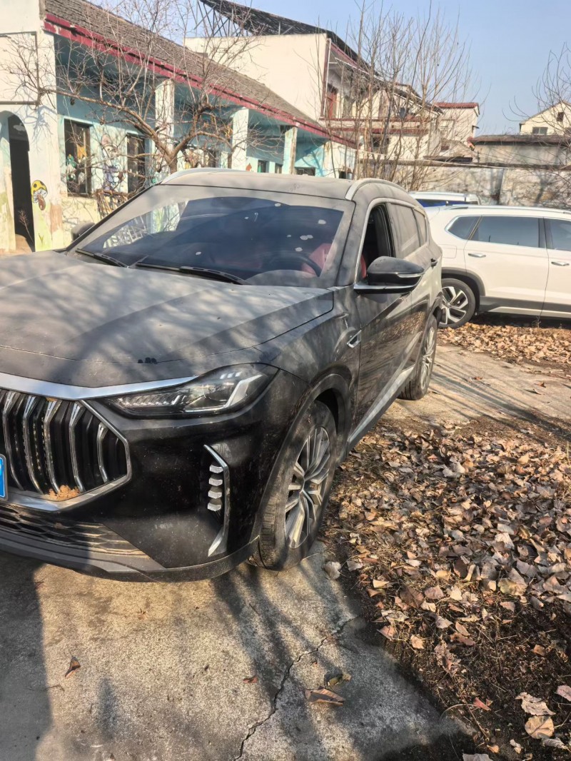 济宁24年奇瑞捷途2