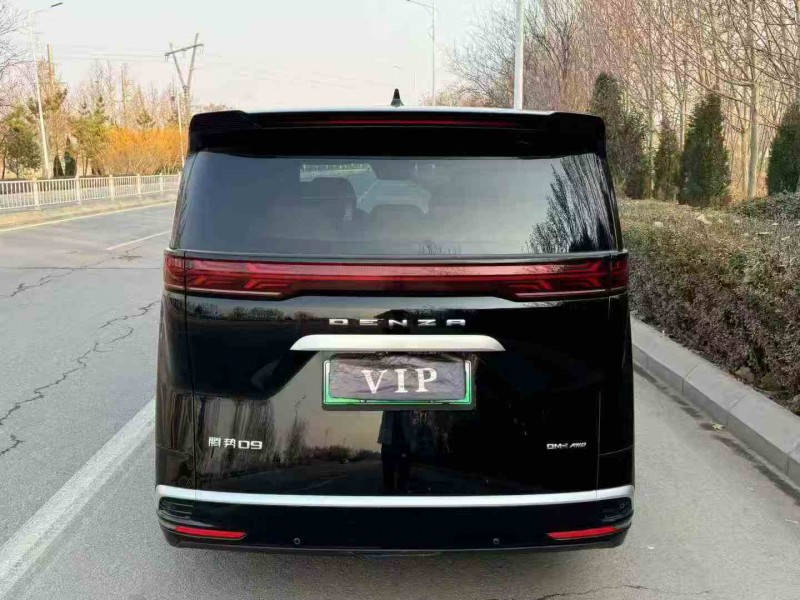 东营24年腾势D96