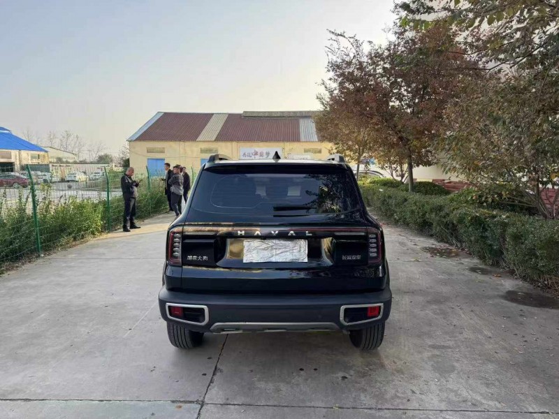 徐州24年哈弗大狗9